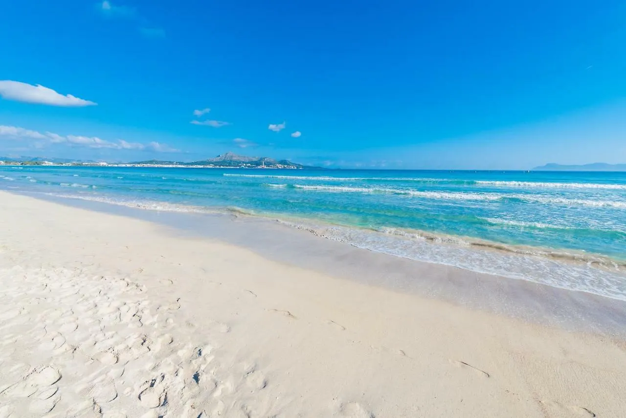 Daire Apartamento Pine Beach En Alcudia